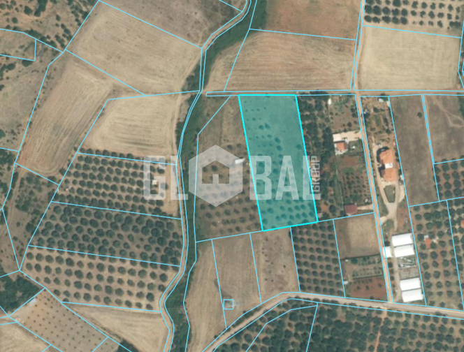 property-img