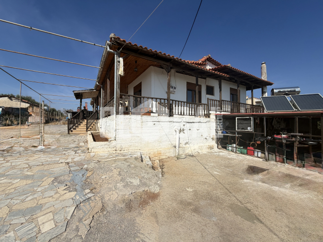 property-img