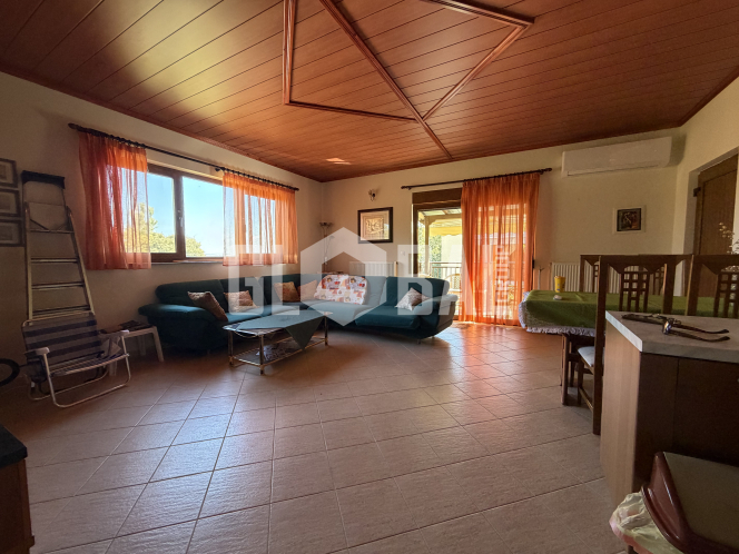 property-img